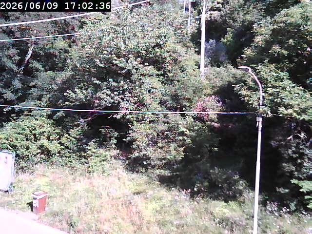 webcam Magione