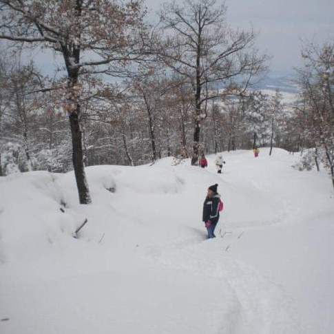 Neve a Panicale Febbraio 2012- Monte Petrarvella